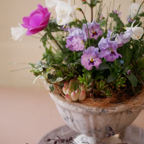 【FOUR SEASONSスクール】1/20(土)Green life Zoom webinars ワークショップ　無料視聴+花材セット
