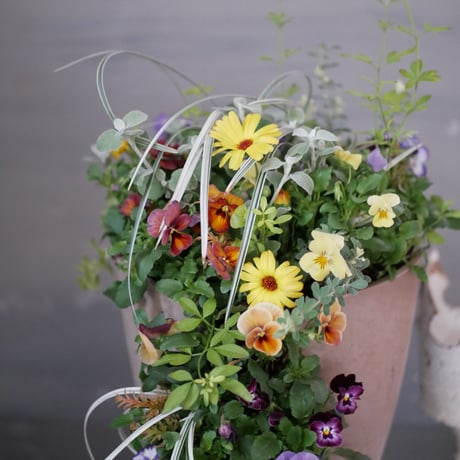 【FOUR SEASONSスクール】11/25(土)Green life Zoom webinars ワークショップ　無料視聴+花材セット