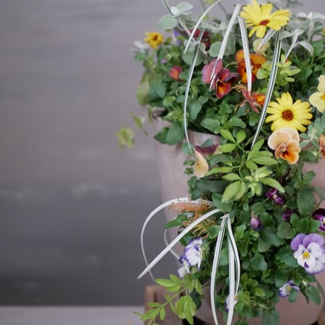 【FOUR SEASONSスクール】11/25(土)Green life Zoom webinars ワークショップ　無料視聴+花材セット