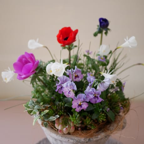 【FOUR SEASONSスクール】1/20(土)Green life Zoom webinars ワークショップ　無料視聴+花材セット