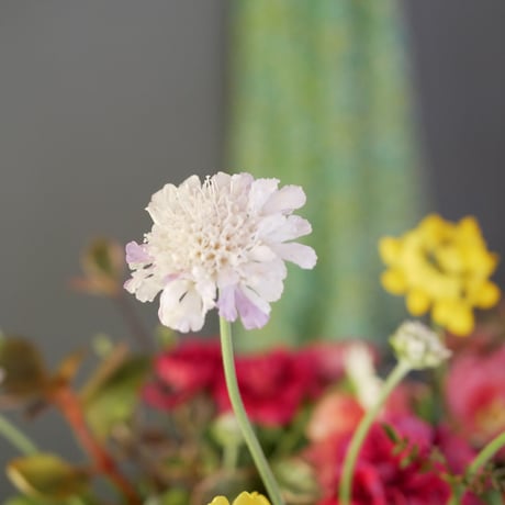 【FOUR SEASONSスクール】4/26(土)Green life Zoom webinars ワークショップ　無料視聴+花材セット