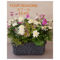 【FOUR SEASONSスクール】4/15(土)Green life Zoom webinars ワークショップ　無料視聴+花材セット