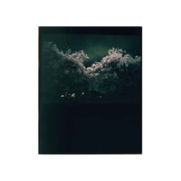Anat Parnass Stillness of Night