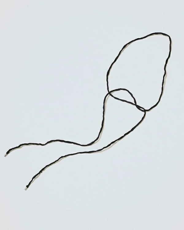 TODAYFUL トゥデイフル Silk Cord Choker シルクコードチョーカー ネッ