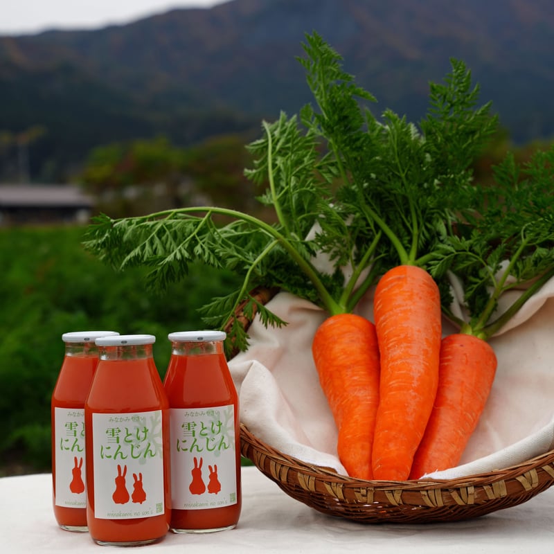雪とけにんじん 180ml 20本入り1ケース | minakaminoson's STORE