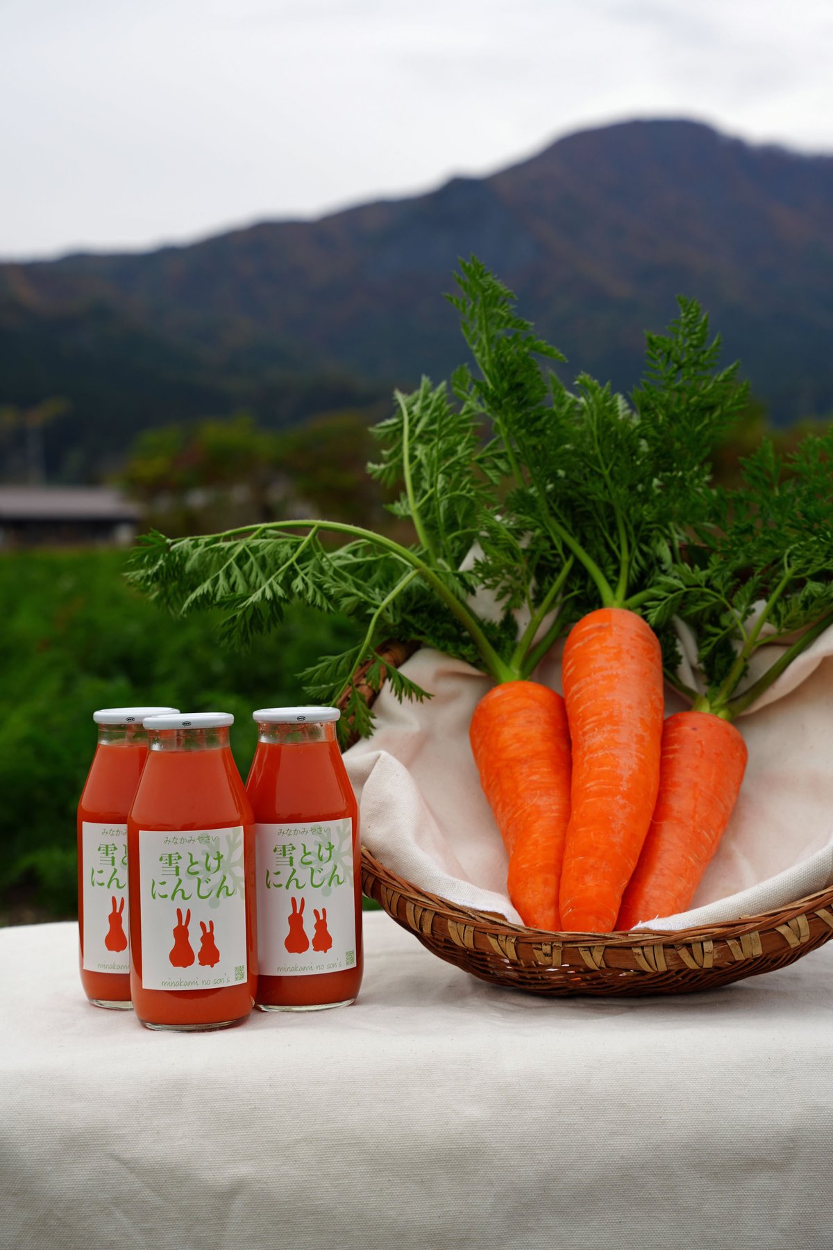 雪とけにんじん 180ml 20本入り1ケース | minakaminoson's STORE