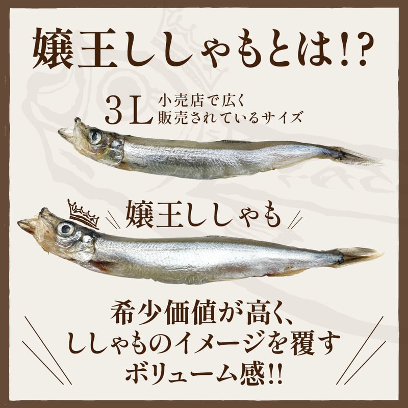 b016-01)アイスランド産 嬢王ししゃも 5L～6Lの特大サイズ 250g入×4袋