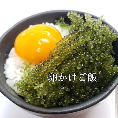海ぶどう
