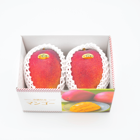 【上原熱帯果樹園】マンゴー 1kg 2~3玉