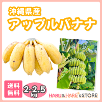 アップルバナナ 2kg  モチモチした触感で大人気！