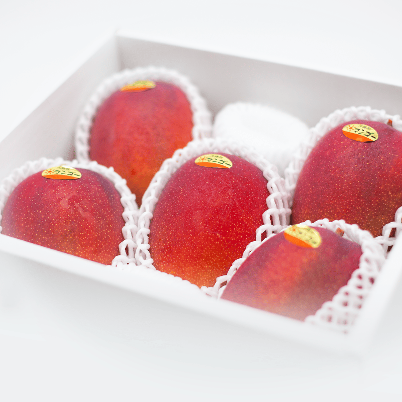 上原熱帯果樹園】マンゴー 2Kg 4~6玉 | 沖縄産 マンゴー 海ぶどう お 上原熱帯果樹園】マンゴー 2Kg 4~6玉 | 沖縄産 マンゴー 海ぶどう お