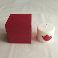 ［candle.vida］アロマキャンドル (赤い箱つき)