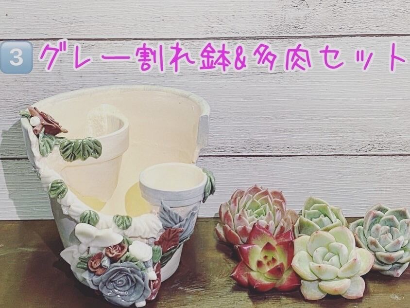 リメイク鉢 一寸鉢 9個セット いとおしい
