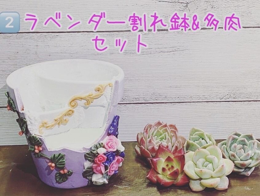 割れ鉢 リメイク鉢 母の日限定鉢 | K&Y 多肉のための可愛いおうち🏡