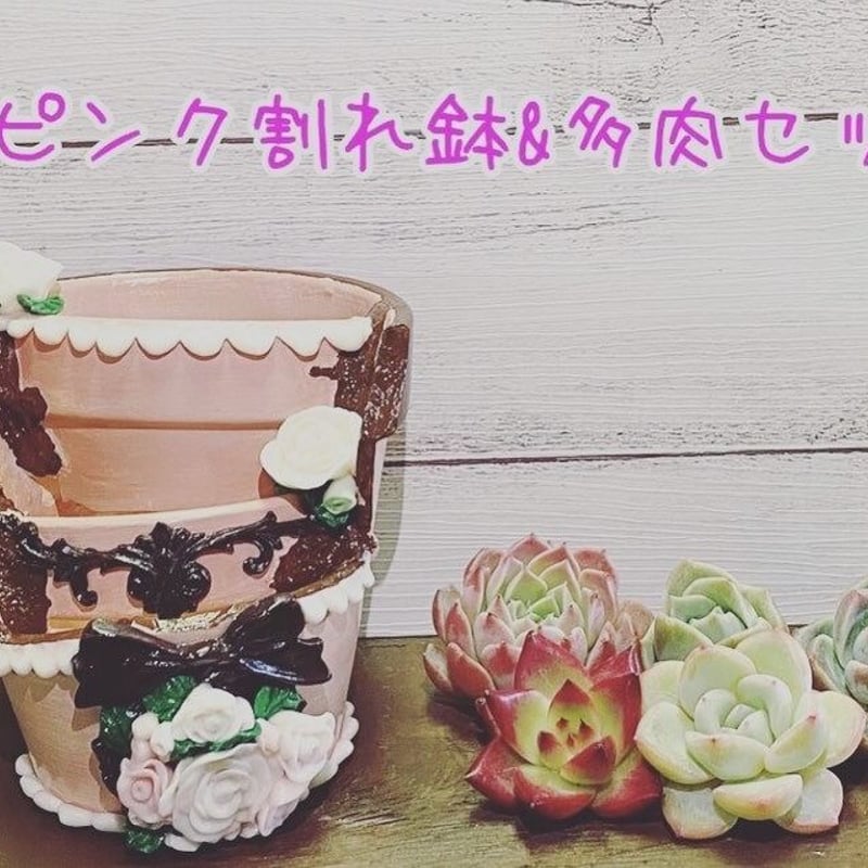 割れ鉢 リメイク鉢 母の日限定鉢 | K&Y 多肉のための可愛いおうち🏡