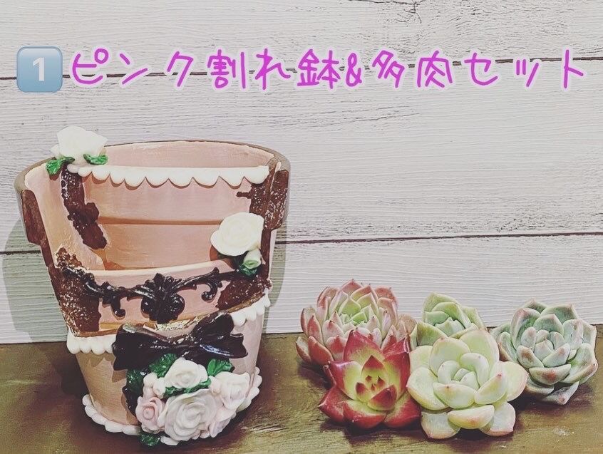 割れ鉢 リメイク鉢 母の日限定鉢 | K&Y 多肉のための可愛いおうち🏡