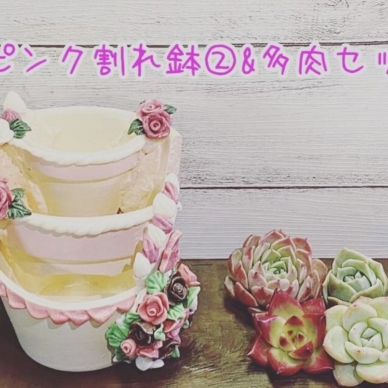 割れ鉢 リメイク鉢 母の日限定鉢 | K&Y 多肉のための可愛いおうち🏡