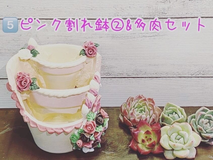 割れ鉢 リメイク鉢 母の日限定鉢 | K&Y 多肉のための可愛いおうち🏡
