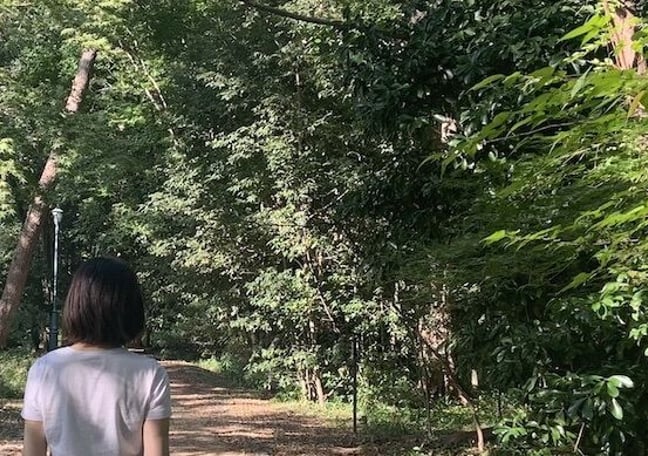 グリーンセラピーおうちで森林浴