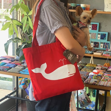 Fiction Whale