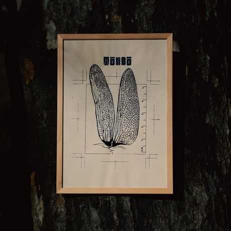 カラドリウス　店頭販促用ポスター カラドリウス 店頭販促用ポスター カラドリウス 店頭販促用