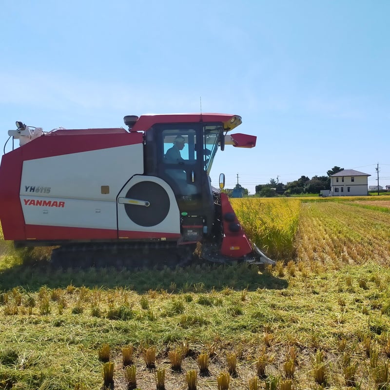 令和６年10月収穫 新米　玄米20キロ　静岡県産コシヒカリ系あいちのかおり 令和6年産新米 あいちのかおり白米20キロ