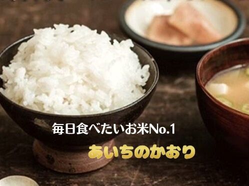 2024年あいちのかおり 白米10kg（農薬、化学肥料不使用)※送料込