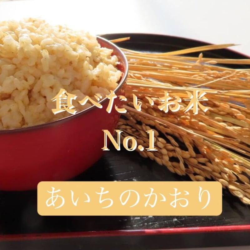 完売]2024年あいちのかおり 玄米5kg（農薬、化学肥料不使用