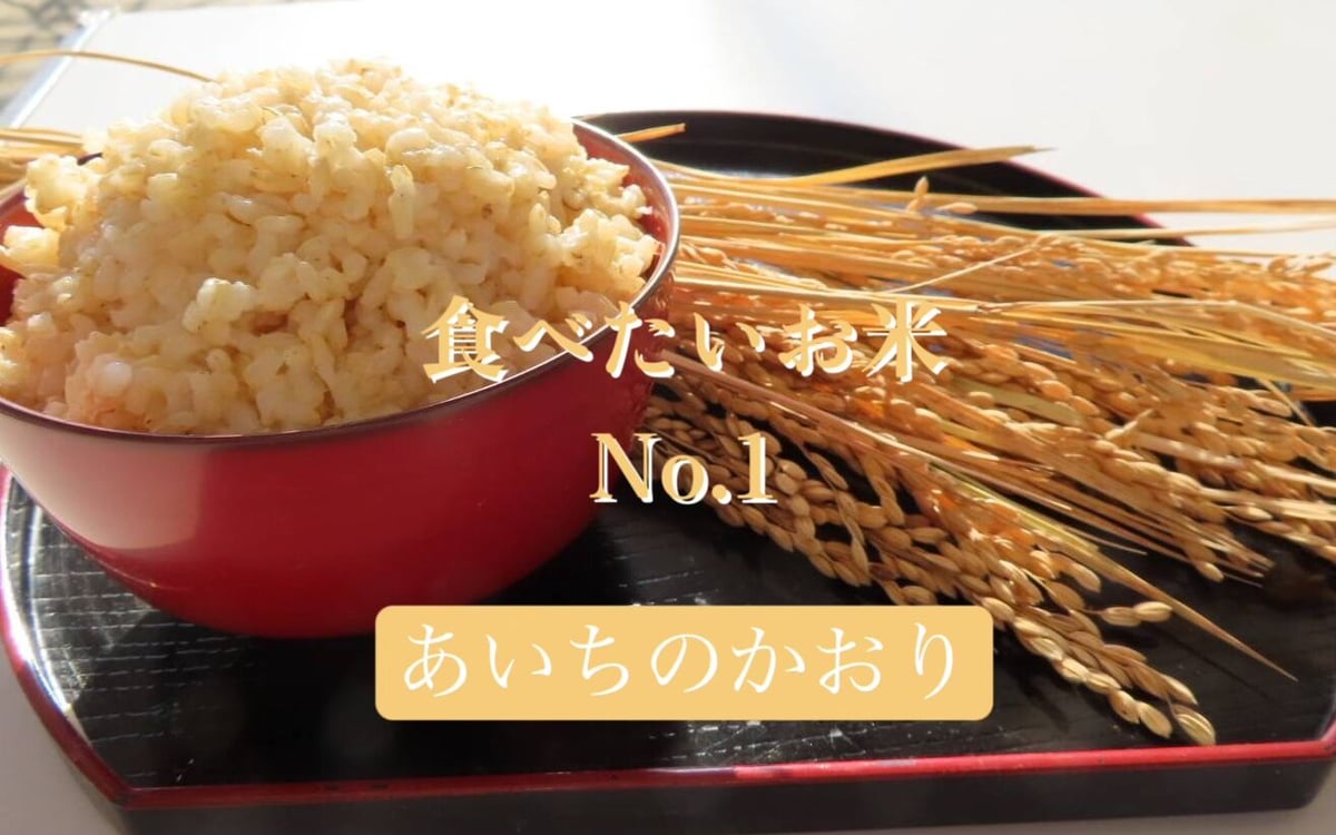 玄米　30kg あいちのかおり 令和7年6月14日（土）引き渡し】低温蔵出し玄米あいちのかおり