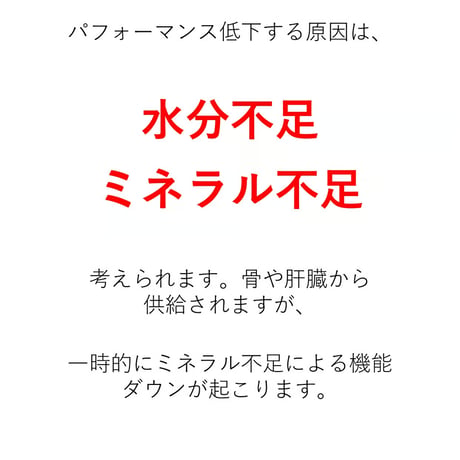 ガゼル／持久力を落とさないミネラル粉末1パック
