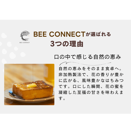 秋田県産　ACACIA-アカシア300