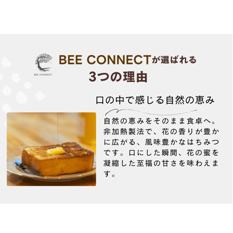 鹿児島県産　春のれんげ蜜300