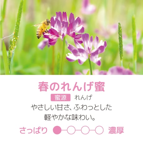 ギフトセット（300ｇ）【ギフト可】