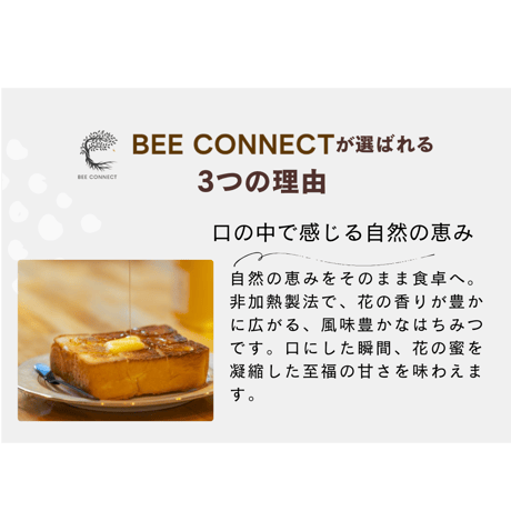 秋田県産　MARRONNIER-マロニエ300