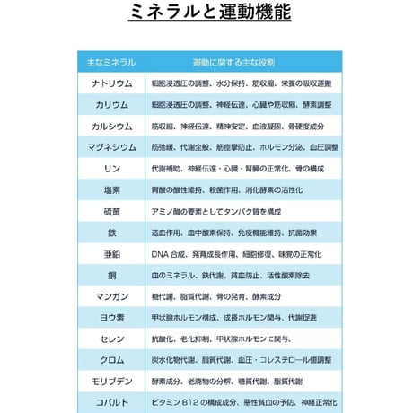 ガゼル／持久力を落とさないミネラル粉末1パック