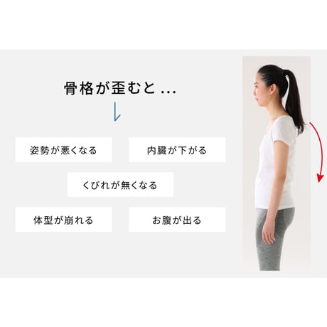 f!tto 2WAY体幹サポーター