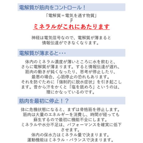 ガゼル／持久力を落とさないミネラル粉末1パック