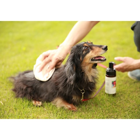 【犬用】ハーブソープ 150ml　舐めても安全。外出時のお手入れに洗い流し不要の泡タイプソープ