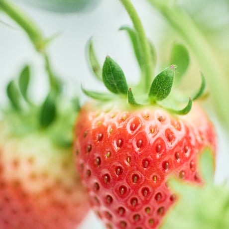 ORIGINAL  STRAWBERRY JAM