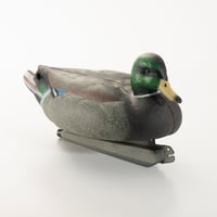 狩猟用 鴨のデコイ（囮り）2体セット 待ち伏せ猟 / Hunting Duck Decoy ver. "Mallard"（オス・メス1体ずつ、計2体）