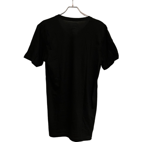 新品　POLO RALPH LAUREN V-NECK TEE 100% COTTON