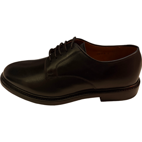新品 J CREW LUDLOW PLAINTOE SHOES