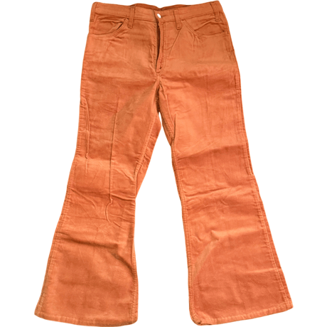 USED 70s LEVI'S 686 VEROA PANTS