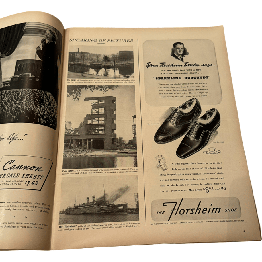 65e46e259b0fd5002e291d3f