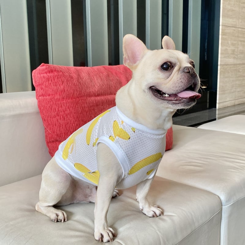 オールメッシュタンクトップ＊バナナ柄＊ | 犬服BUTTER