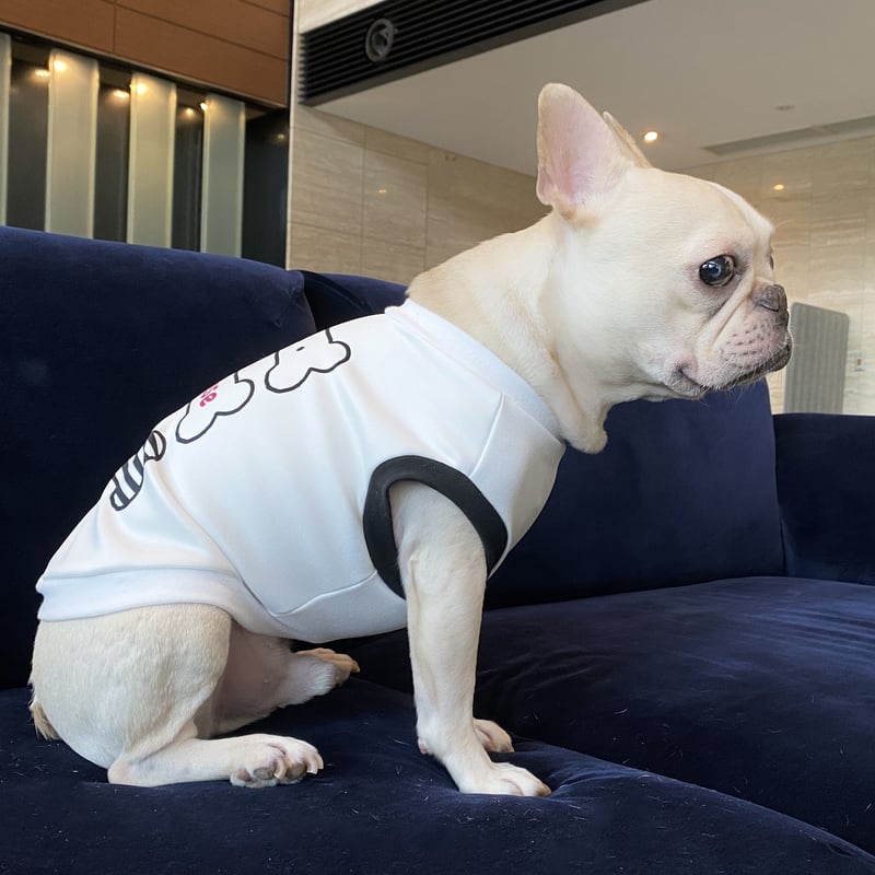 わが子のネーム入りタンクトップ＊ホネホネ＊ | 犬服BUTTER