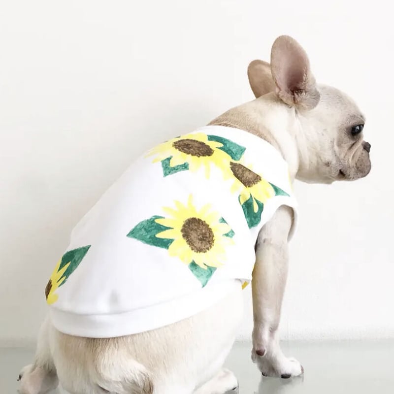 犬服 ハンドメイド イタグレちゃん見本