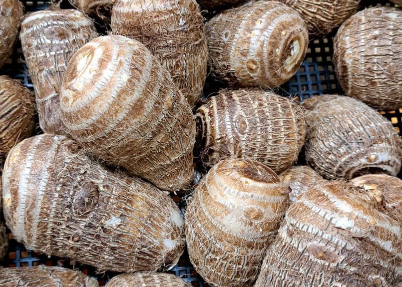 西原村産 さといもプラス・3㎏セット | 高鍋農園