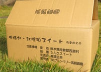 訳あり 2kg