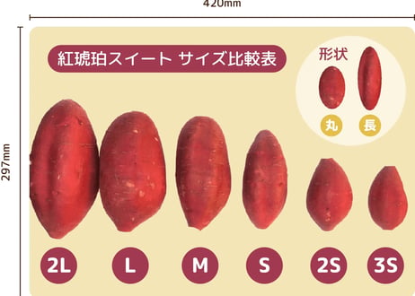 SATSUMAIMO of the year2023-2024受賞　紅琥珀スイート® 3kg箱入